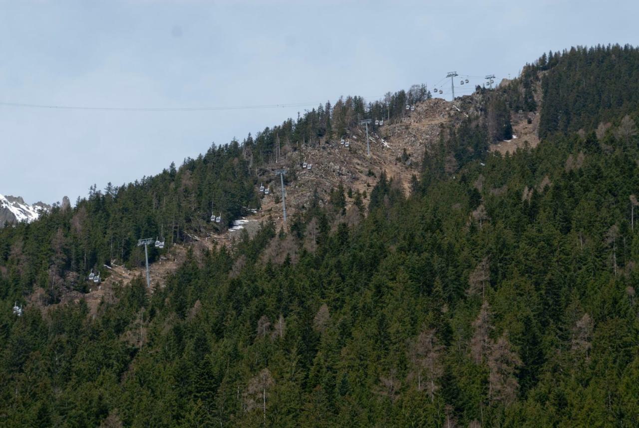Front Ski Slope Chamonix Apartment 외부 사진